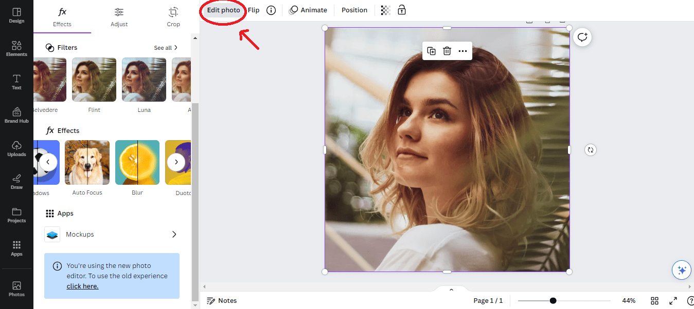 How to Blur Pictures or Faces in Pictures Using Canva?